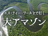 大アマゾン