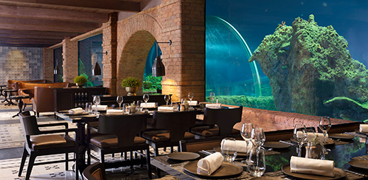 バリで初めてのアクアリウムダイニング「Koral(コラール)」