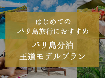 バリ島分泊 王道モデルプラン