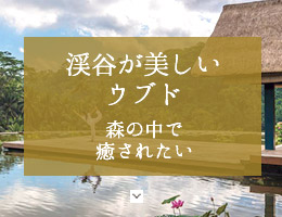 渓谷が美しいウブド