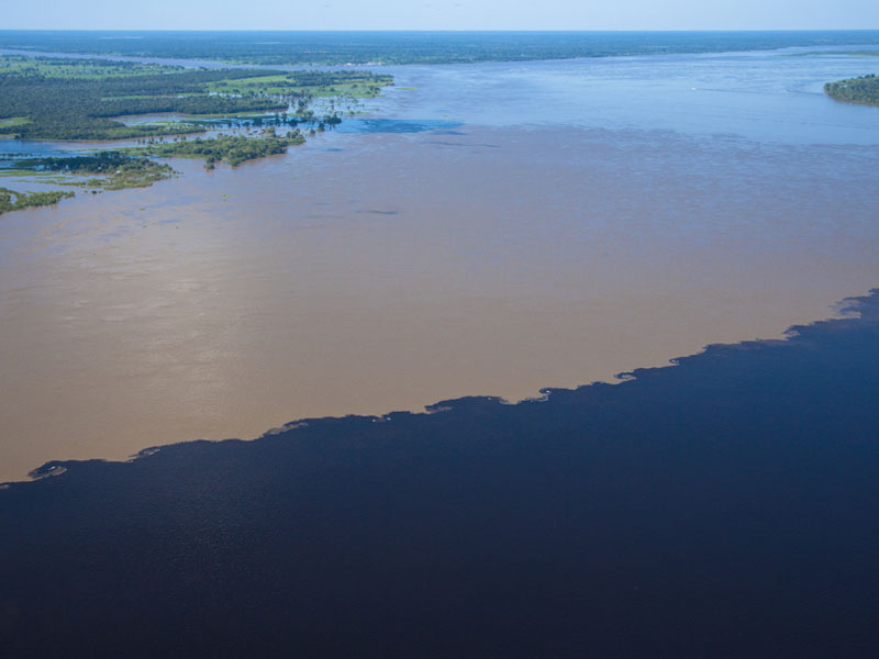 大アマゾンの観光名所アクティビティ 2河川合流点