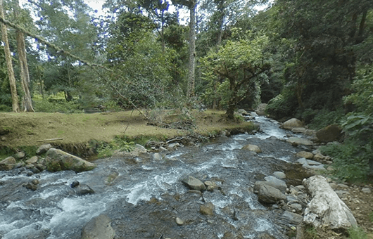 サンヘラルドデドタ