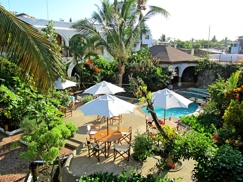 シルバーステイン