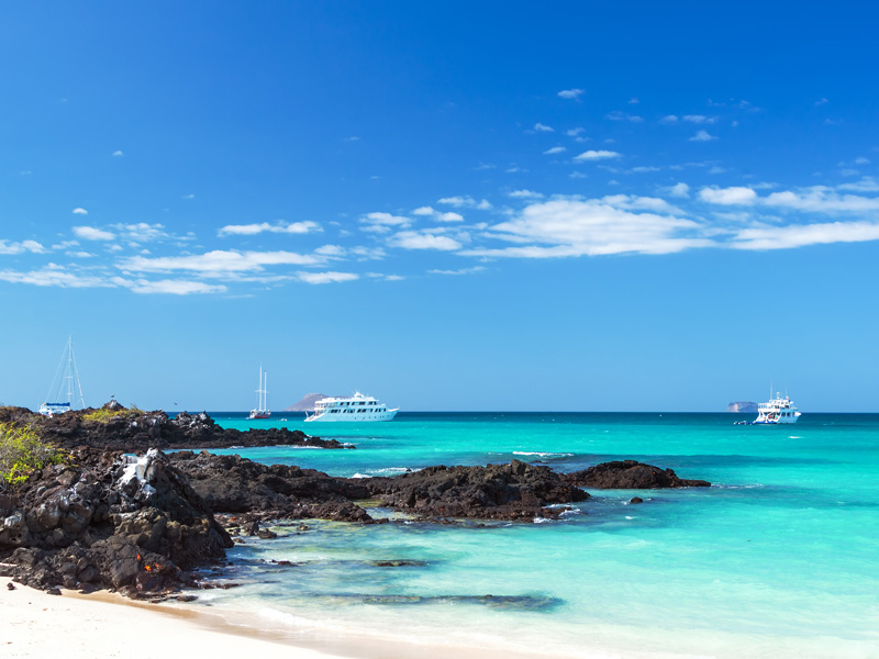 サンタクルス島