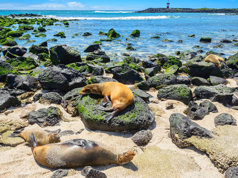 サンクリストバル島