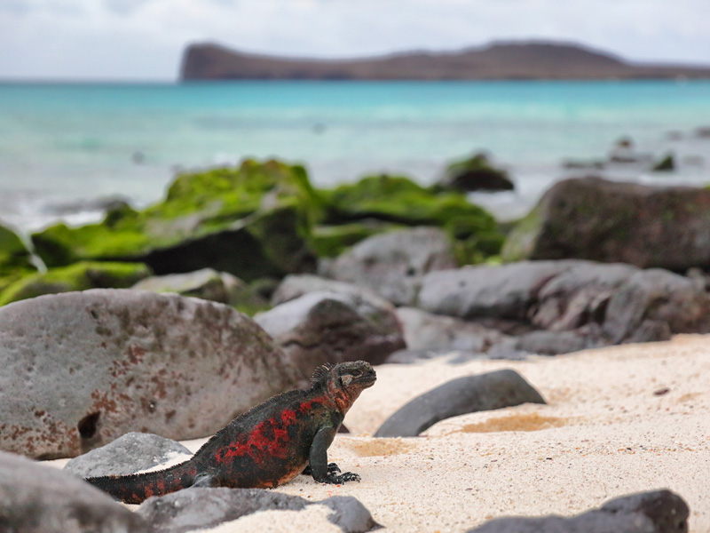 エスパニョーラ島