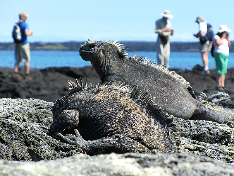 人間を気にしない動物たちの世界へ