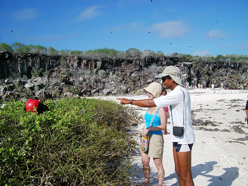 動物たちのユニークな行動を目の前で