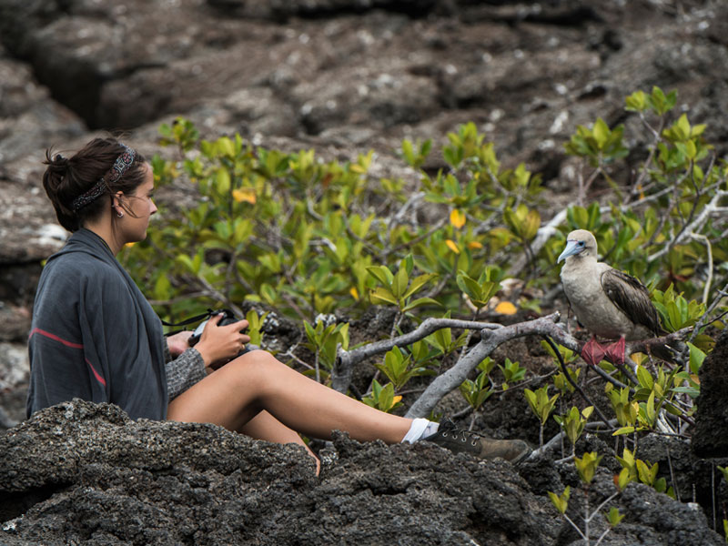 日帰りクルーズではなかなか出会えない動物にも会えるかも