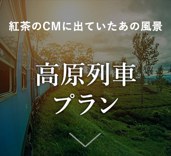 高原列車プラン