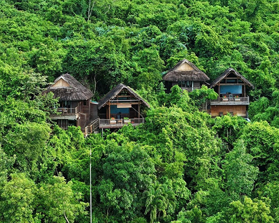 ラリア ニンヴァンベイ