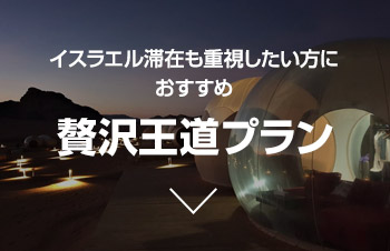 イスラエル滞在も重視したい方におすすめ 贅沢王道プラン