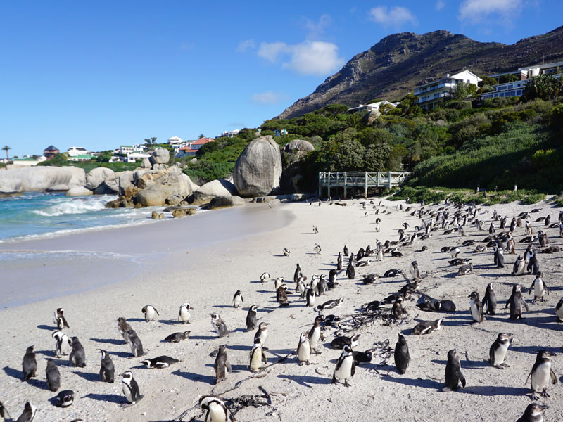 ボルダーズビーチ